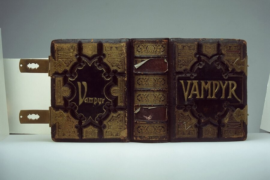 Buffy the vampire slayer