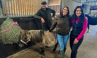 Celebrity escape to the country