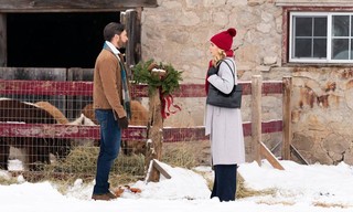 Christmas on the Alpaca Farm