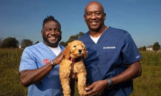 Critter Fixers: Country Vets: Dog Compilation