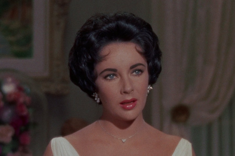 Cat on a Hot Tin Roof