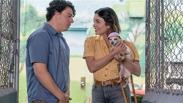 Honden helpen in de liefde