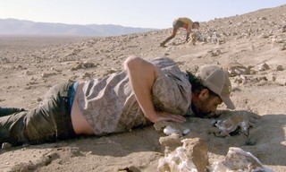 Den Sturmschwalben hinterher - Vom Humboldtstrom bis in die Atacama-Wüste