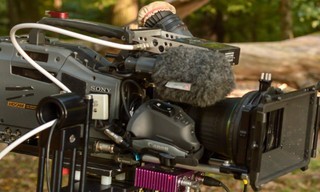 Der wilde Wald der Kaiserin