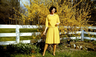 Dian Fossey: Ihr Leben für die Gorillas