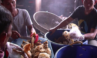 Die Bienenflüsterer