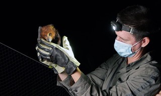 Die Insel La Réunion - Versuchslabor der Evolution