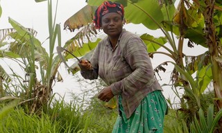 Die Siddi - Indiens schwarze Sprinter