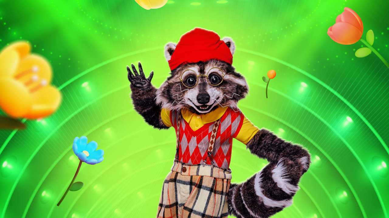 De Wasbeer in The Masked Singer