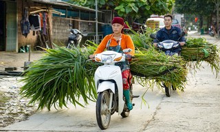 Entlang der Happiness Road - In den Bergen Vietnams