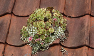 Expeditie Noord-Holland