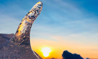 Frostige Winterabenteuer in Schweden