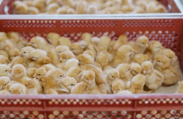 Still bij nieuwe aflevering Focus