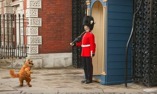 Garfield: A Tail of Two Kitties