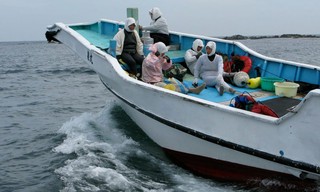 Geo Reportage: Die Meerfrauen von Japan