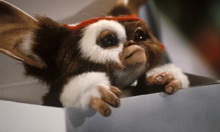 Gremlins 2: The New Batch