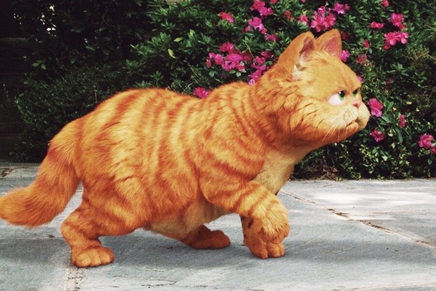 Garfield: A Tail of Two Kitties