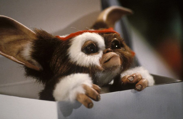 Still uit De Gremlins 2: The New Batch