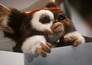 Gremlins 2: The New Batch