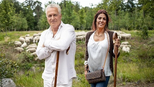 Holland's next top herder