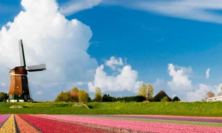 Loop: Hart van Nederland