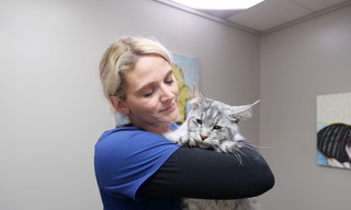 Heartland Docs, DVM: Compilation