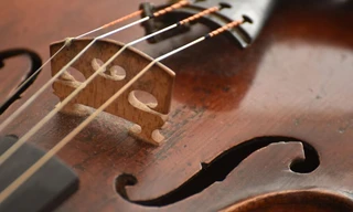 Het Noord Nederlands Orkest