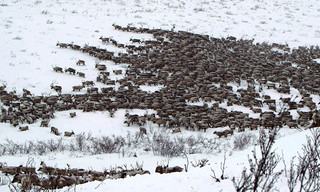Highway zum Polarmeer