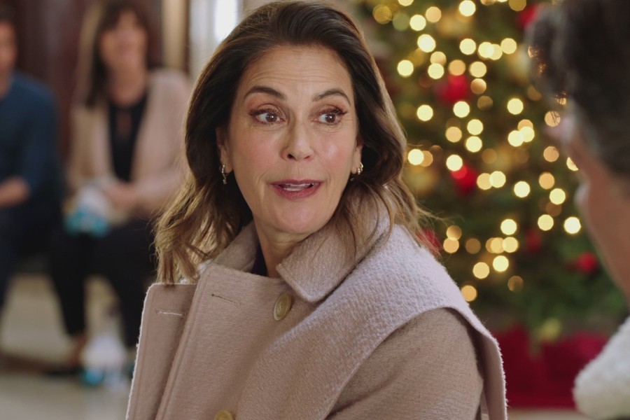 How To Fall In Love By Christmas