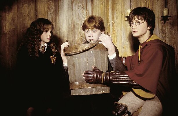 Harry Potter and the chamber of secrets