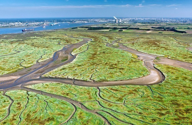 Holland: Natuur in de Delta