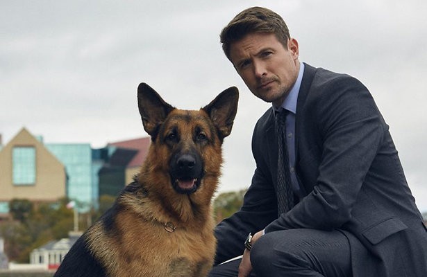 Videoland-tip: Hudson & Rex 