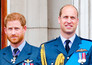 Harry and William: Rise and fall