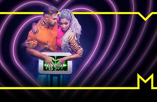 Are You The One?: De Perfecte Match