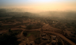 Idjanga, la forêt aux gorilles