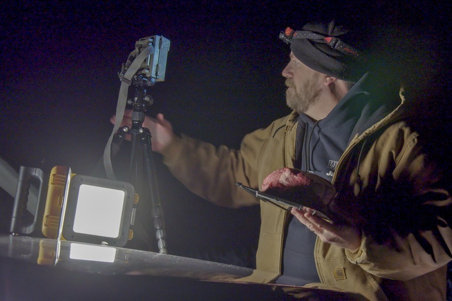 In Search of Monsters