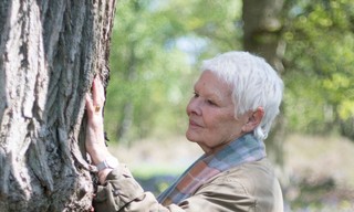 Judi Dench: My passion for trees