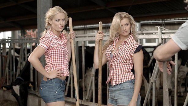 Het succes van lach-of-ik-schiet