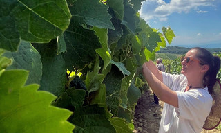 Kosovo: alte Kräuter, neuer Geist