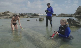 Lost treasures of the Bible