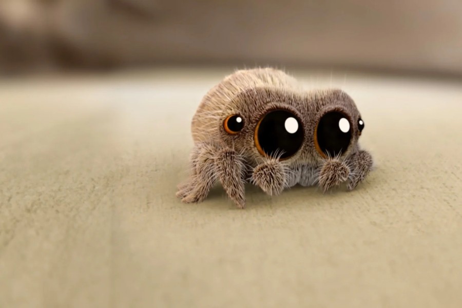 Lucas the Spider