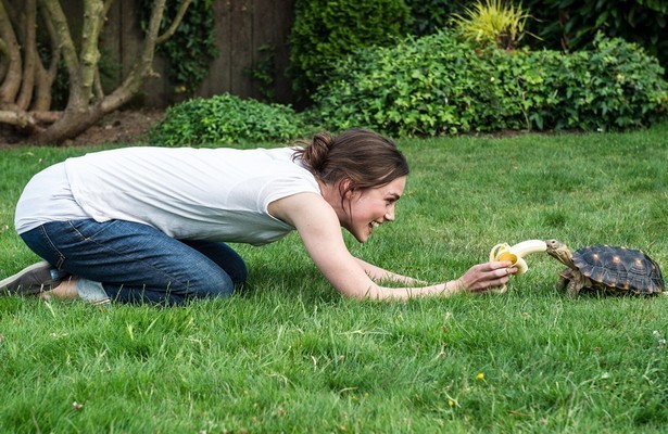  Laggies