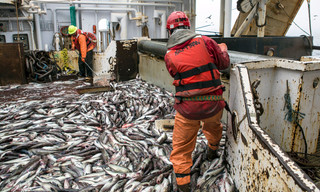 Made in Norddeutschland