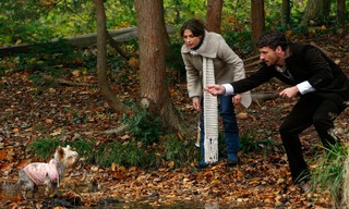 Manche mögen's glücklich