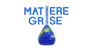 Matière grise express