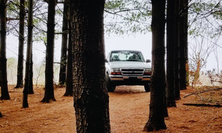 Murder Comes to Town