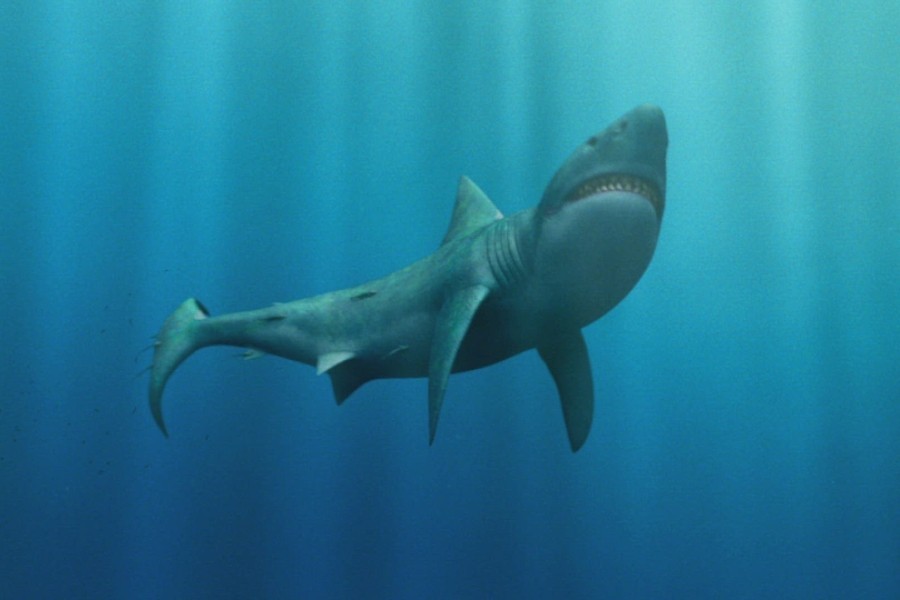 Megalodon: The Monster Shark Lives