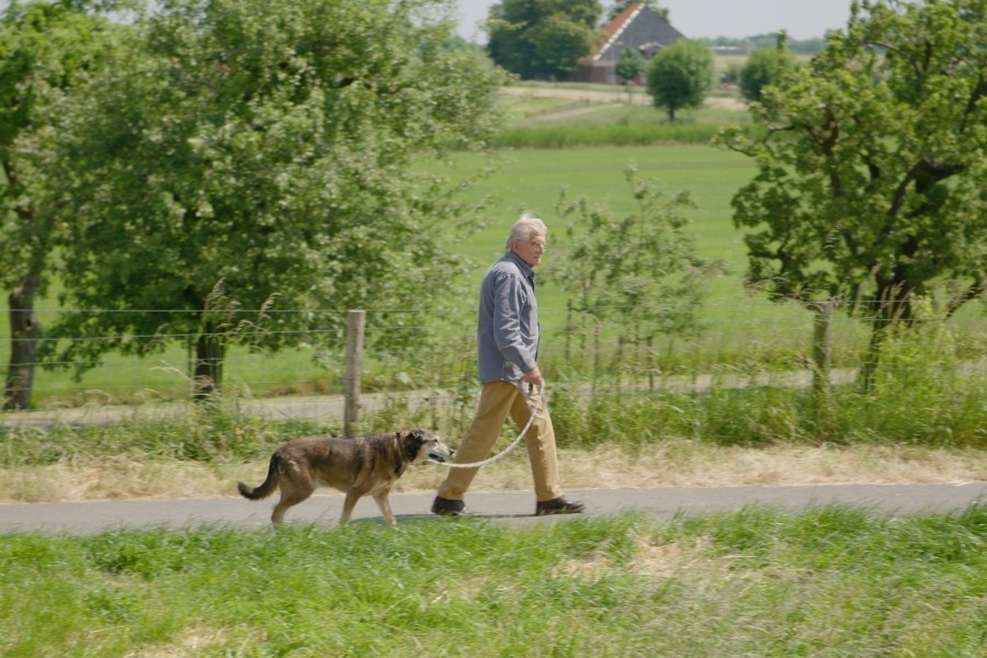 Met Bromet naar hondencursus