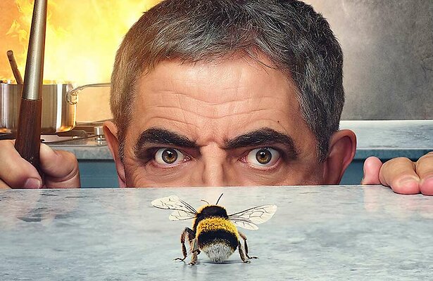 Man vs Bee