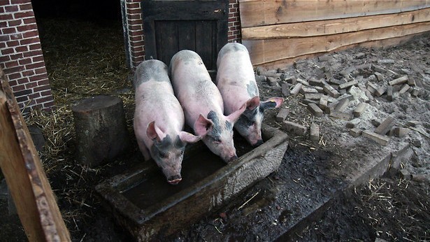 Nog vijf agrariërs over